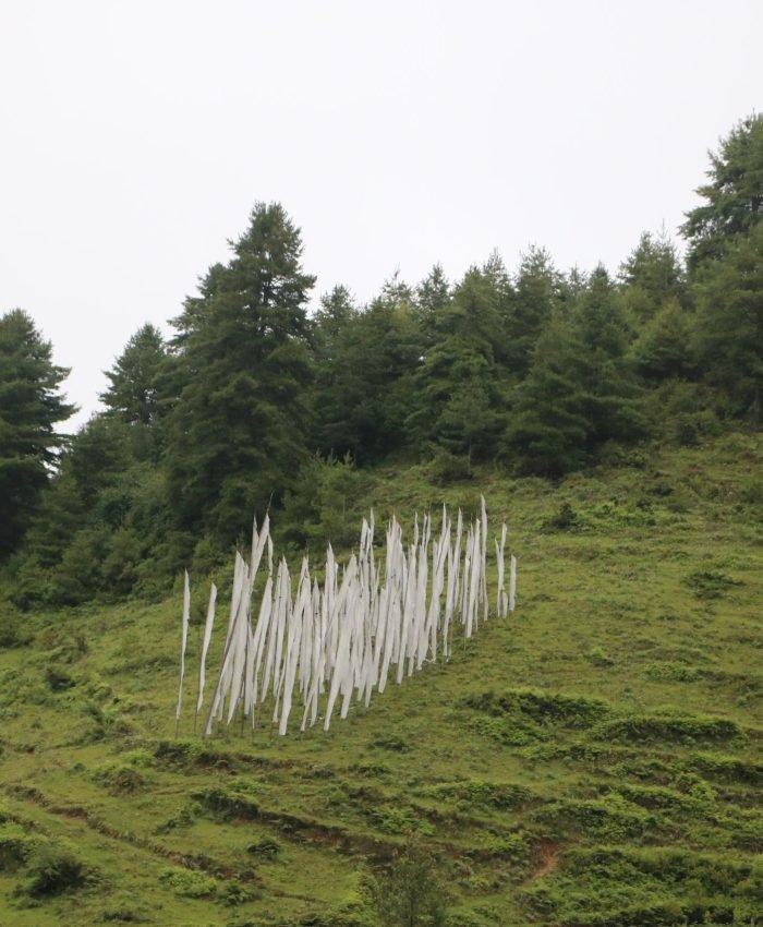 Prayer Flag, Lingre